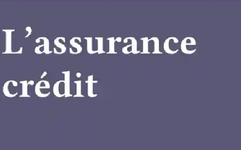 0502 | 信用保险的创始人桑吉内蒂