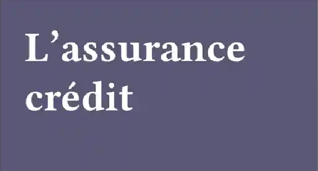 0502 | 信用保险的创始人桑吉内蒂