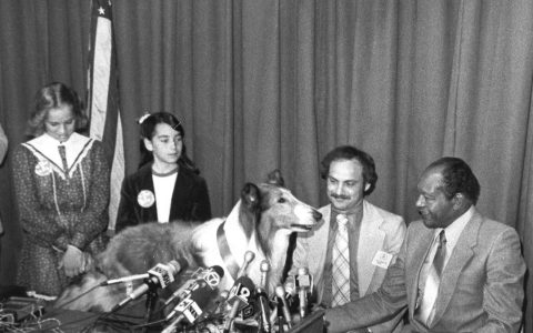 0901 | 世界上第一张宠物保险保单